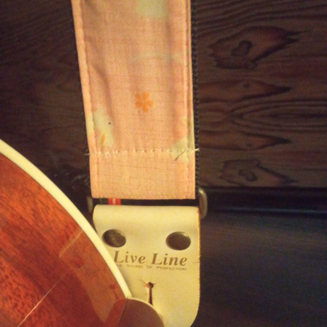 【初心者オススメ】JAMES Ｊ-300A　アコースティックギター＆良いケース