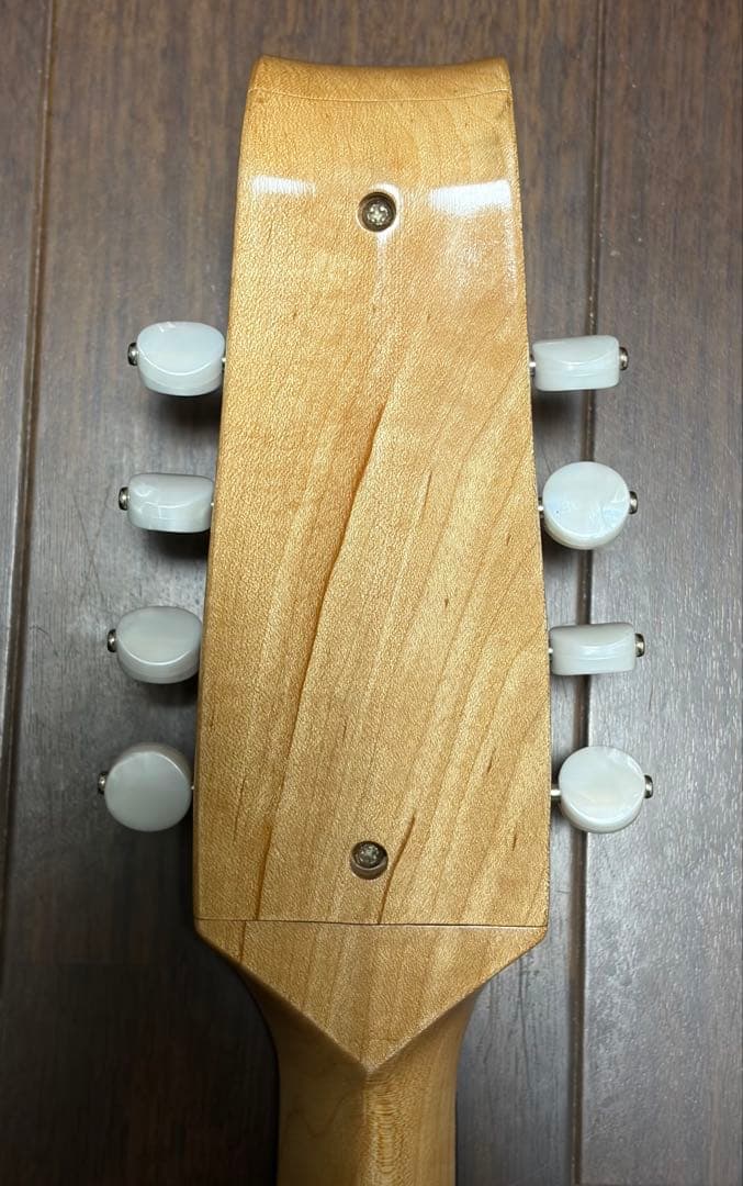 ✴︎超美品✴︎SUZUKIマスターハンド・マンドラ　MD-10 美品ハードケース付き