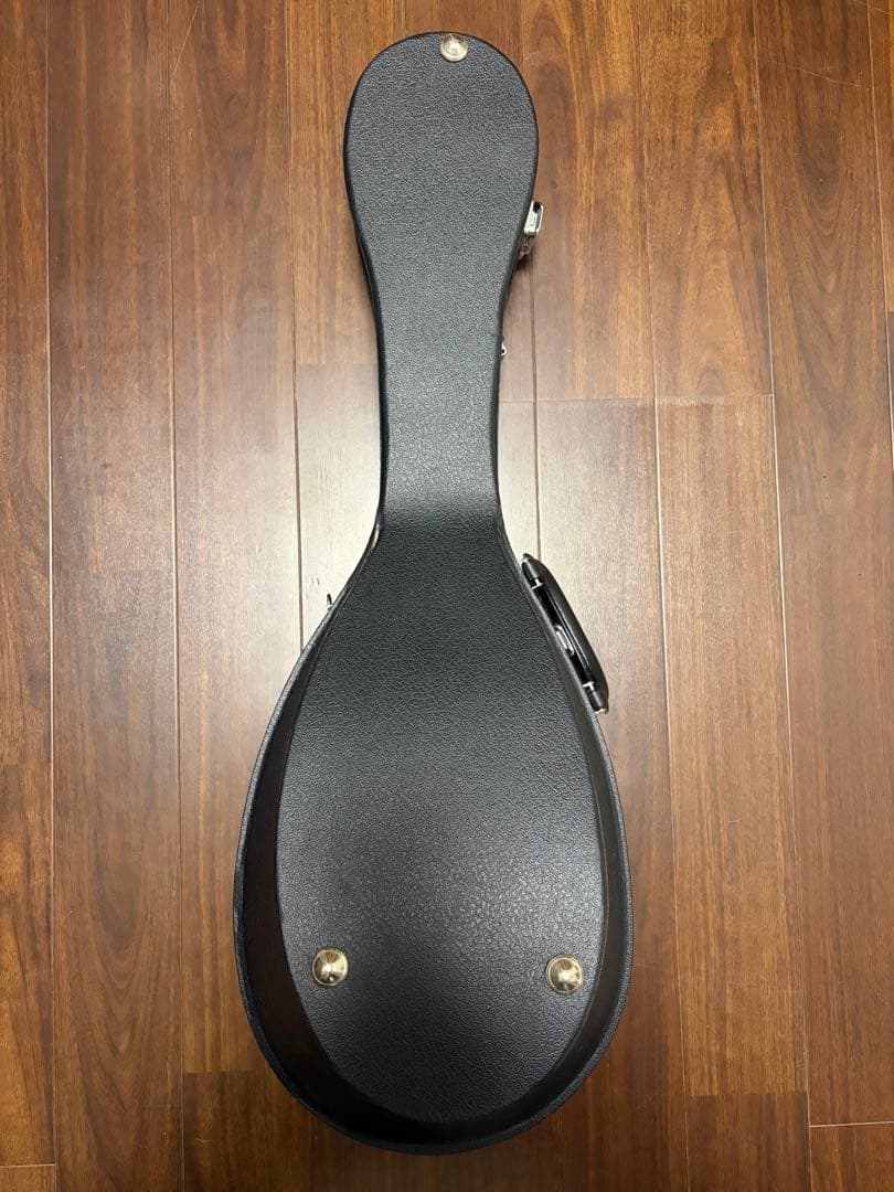 ✴︎超美品✴︎SUZUKIマスターハンド・マンドラ　MD-10 美品ハードケース付き