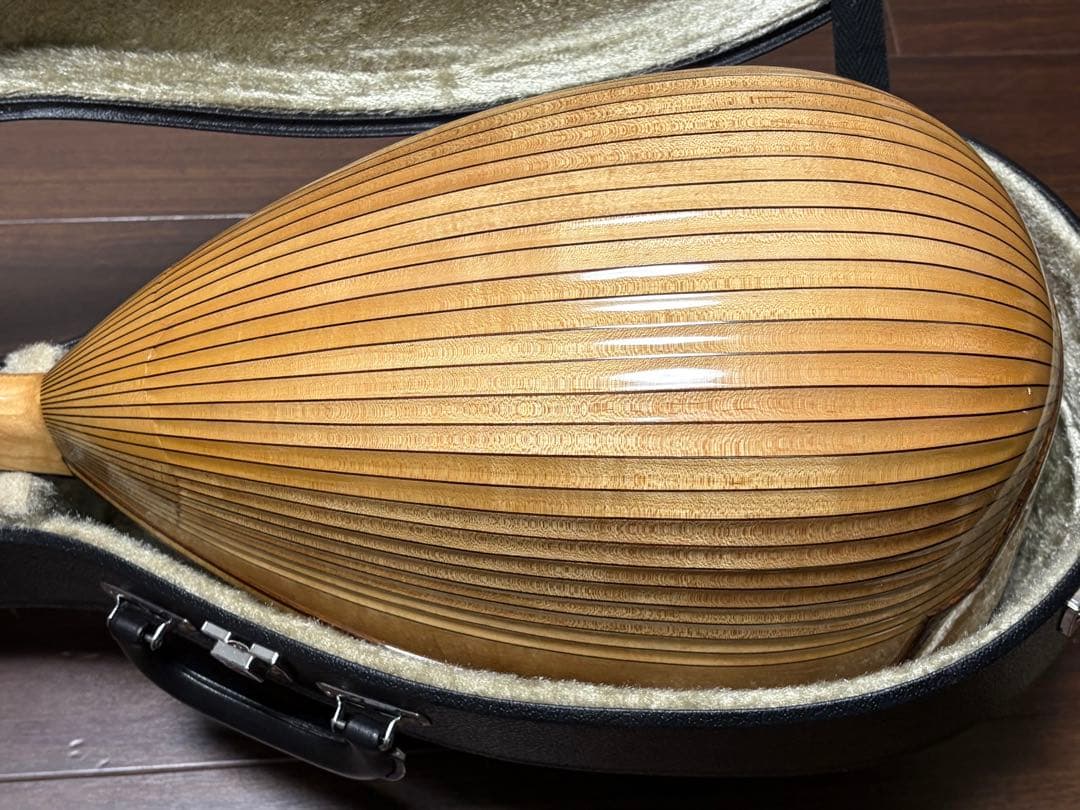 ✴︎超美品✴︎SUZUKIマスターハンド・マンドラ　MD-10 美品ハードケース付き