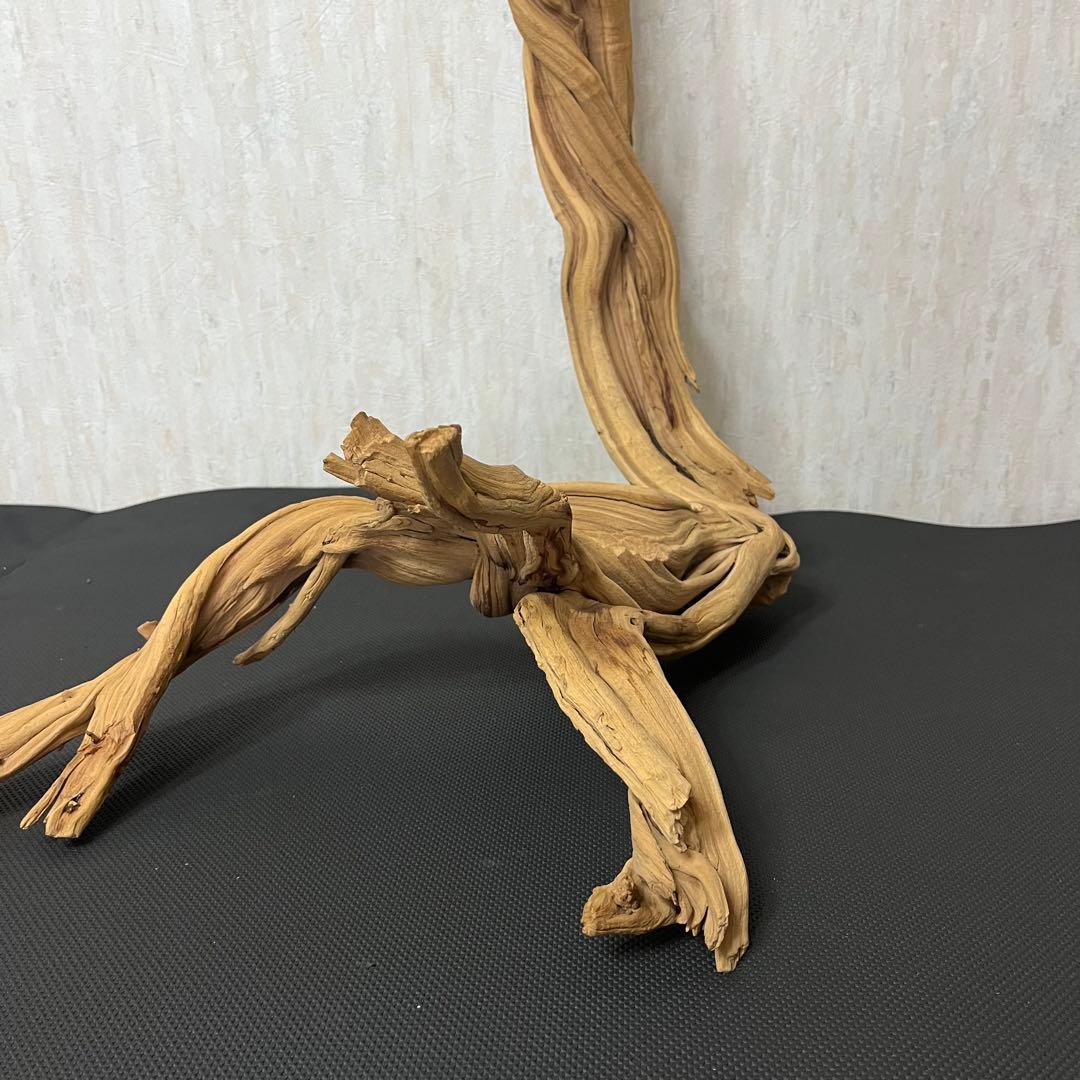 ADA ブランチウッド 流木 アクアリウム パルダリウム ビッグサイズ