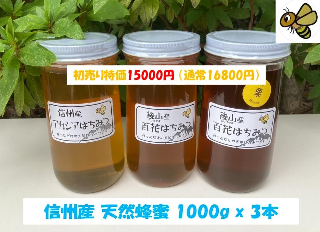 【初売】 国産蜂蜜 1000g 3種 アカシア 百花 栗蜜 天然蜂蜜