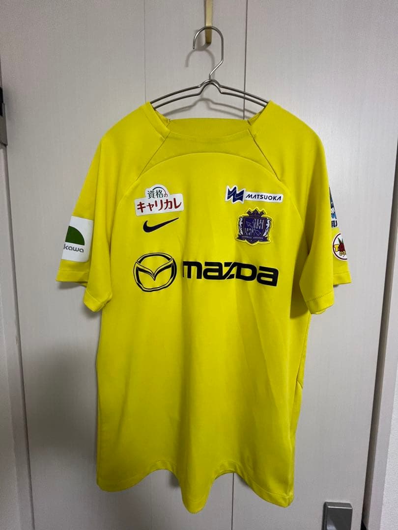 サンフレッチェ広島