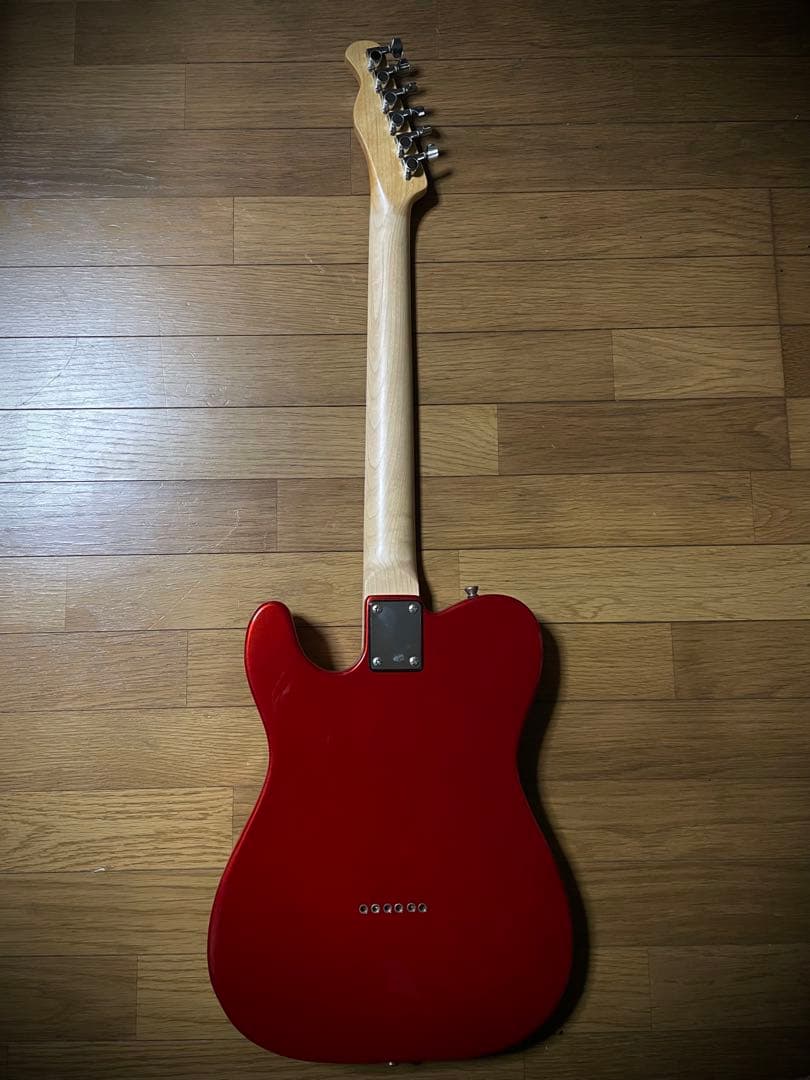 Bacchus バッカス　テレキャスター　THEMODS 森山達也