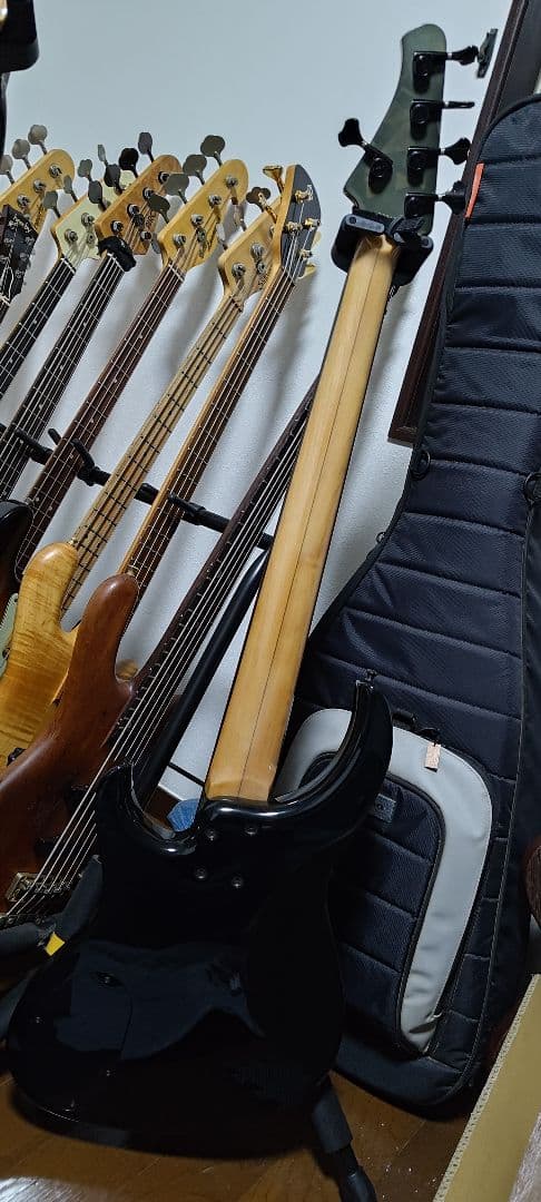 Modulus　Genesis　５st