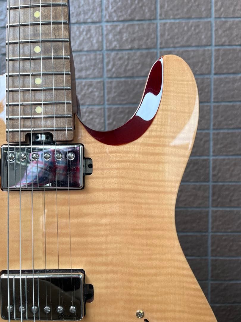 【動作◯】 Harley Benton Pro Series テレキャス