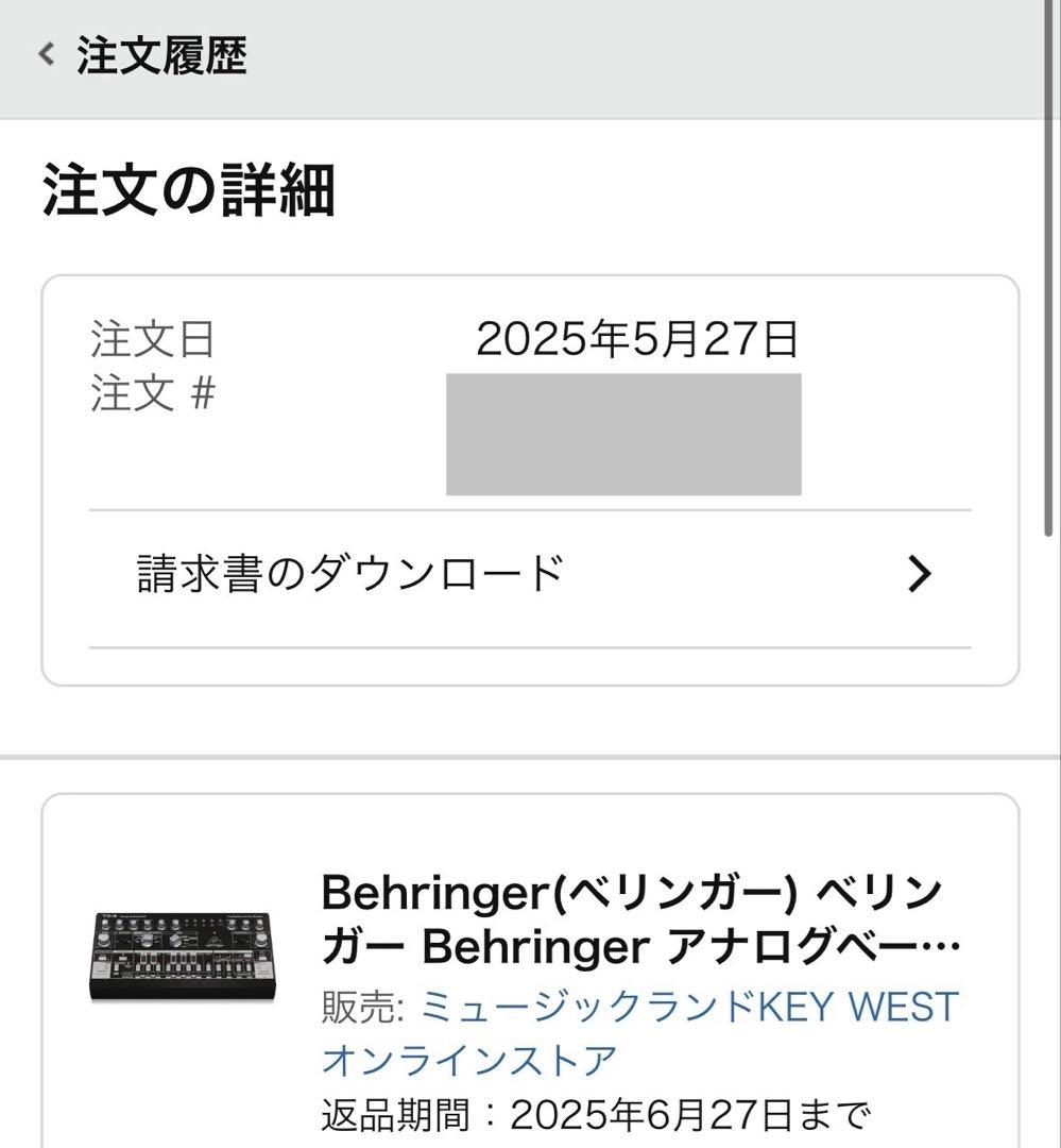 Behringer（ベリンガー）　TD-3