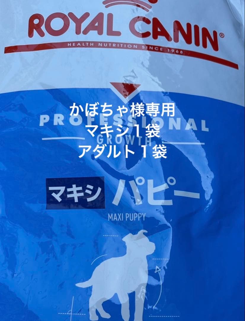  CANIN マキシ パピー ドライフード16kg