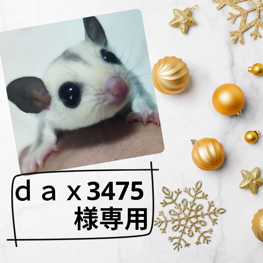 【専用ページ】R_004_カメレオン、爬虫類飼育ケージ（中古サビなし・穴大）2つ