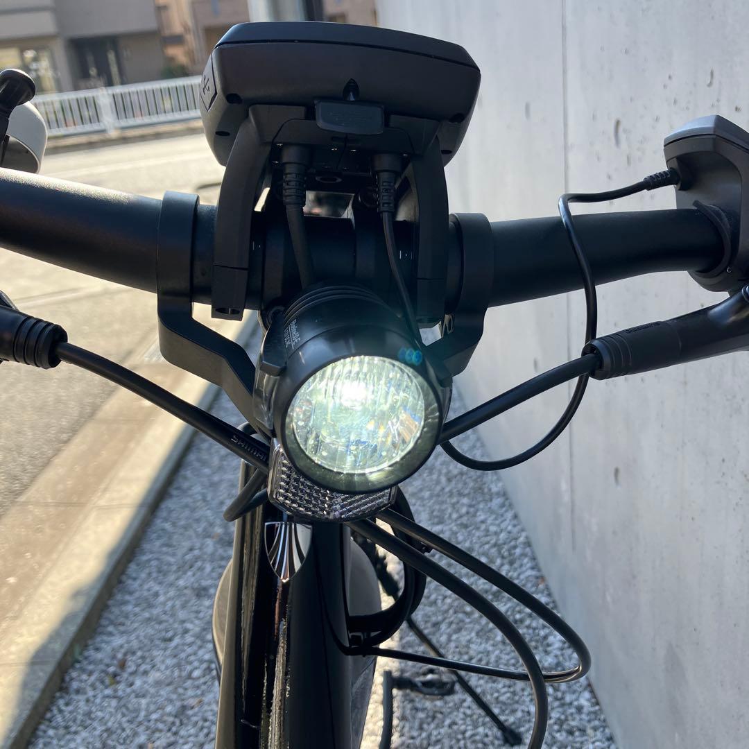 低走行 電動クロスバイク TREK Dual Sport + Lサイズ
