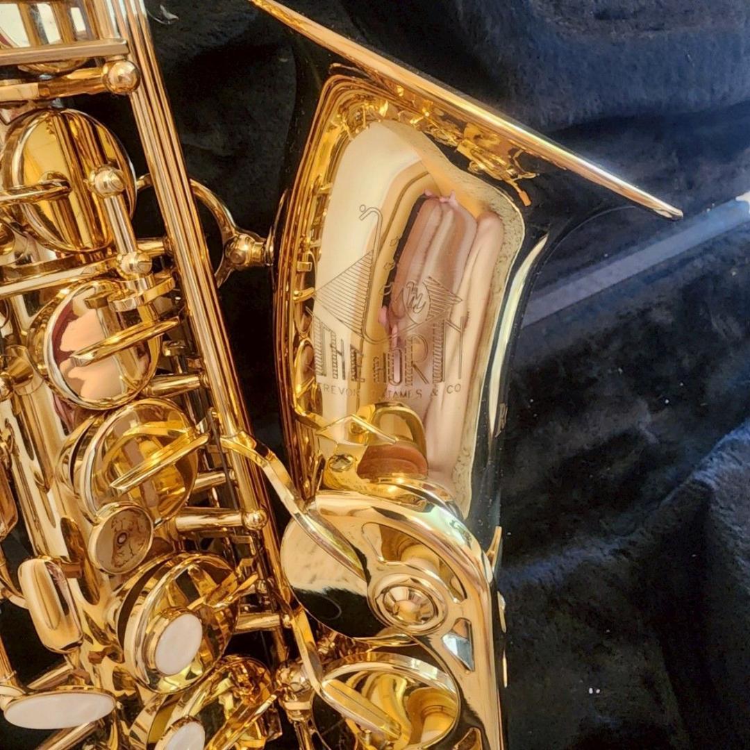 美品 トレバージェイムス アルトサックス ケース付