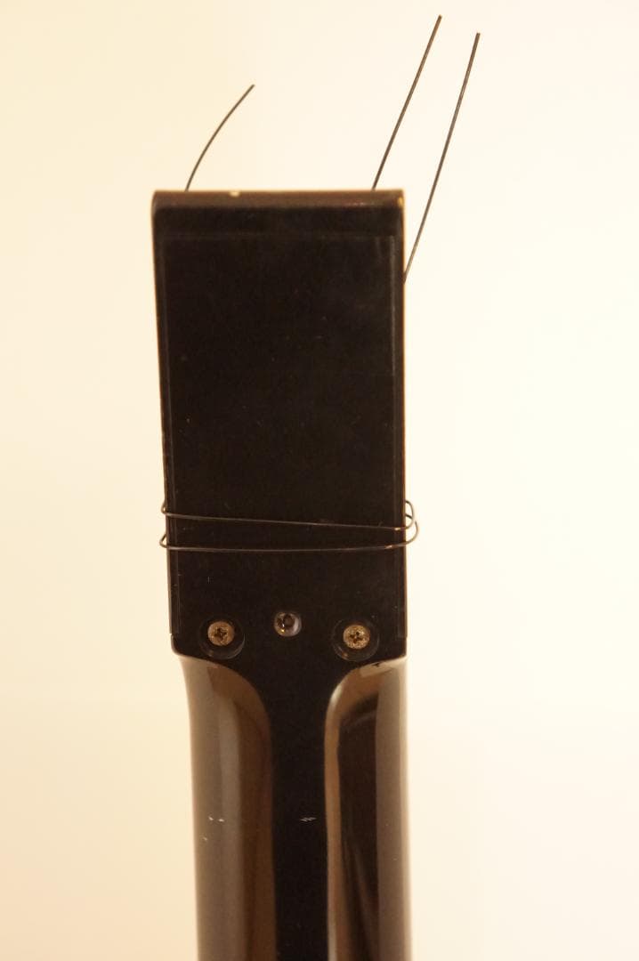 ギター CASIO dg-20 digital guitar