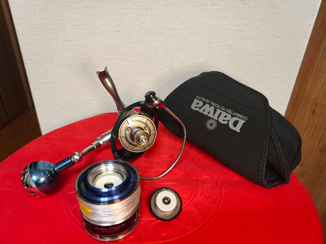 10 ソルティガ 4500H