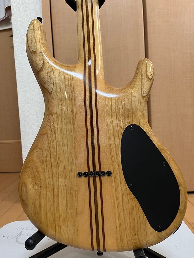 ギター Mayones Regius 6/Lefty (T-GRA-G)