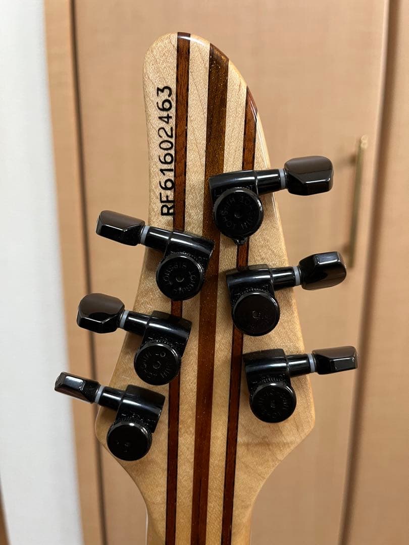 ギター Mayones Regius 6/Lefty (T-GRA-G)