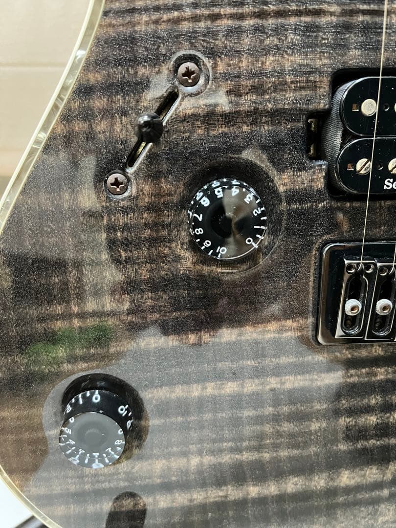 ギター Mayones Regius 6/Lefty (T-GRA-G)