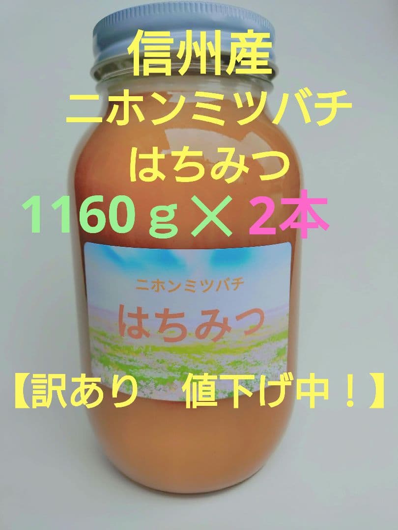 【訳あり】ニホンミツバチ　はちみつ　ハチミツ　信州産　非加熱　1160ｇ✕2本