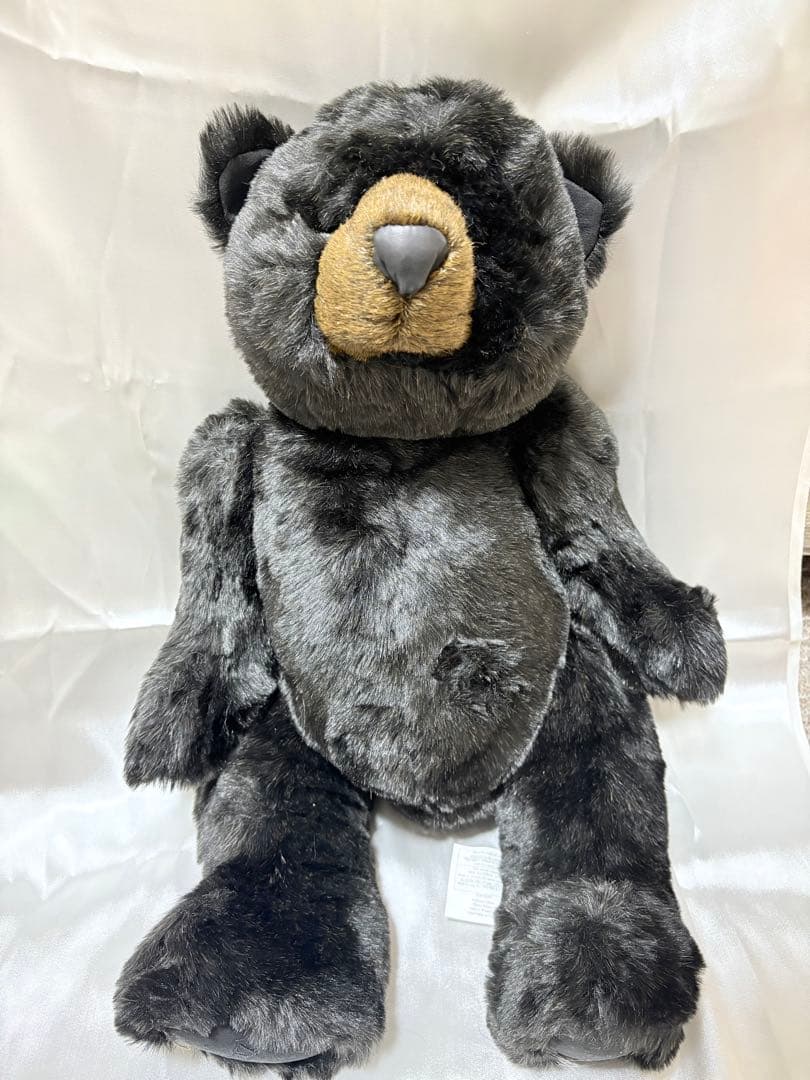 DITZ クマぬいぐるみ 黒
