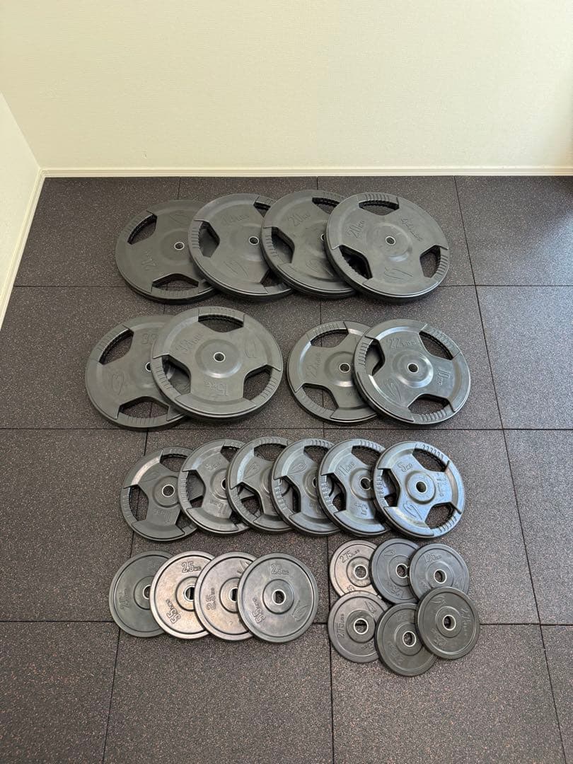 BODYMAKER 28mm 用 ラバープレート１７０kg