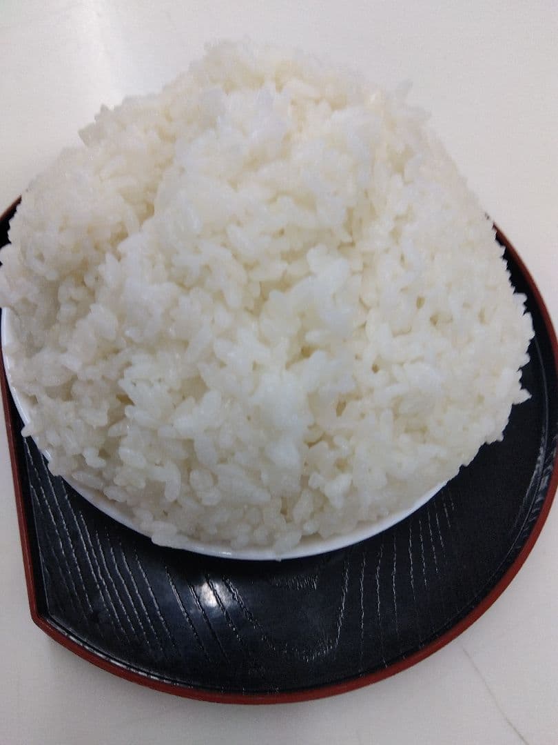 山形県産おいしいお米 雪若丸3kg 3袋