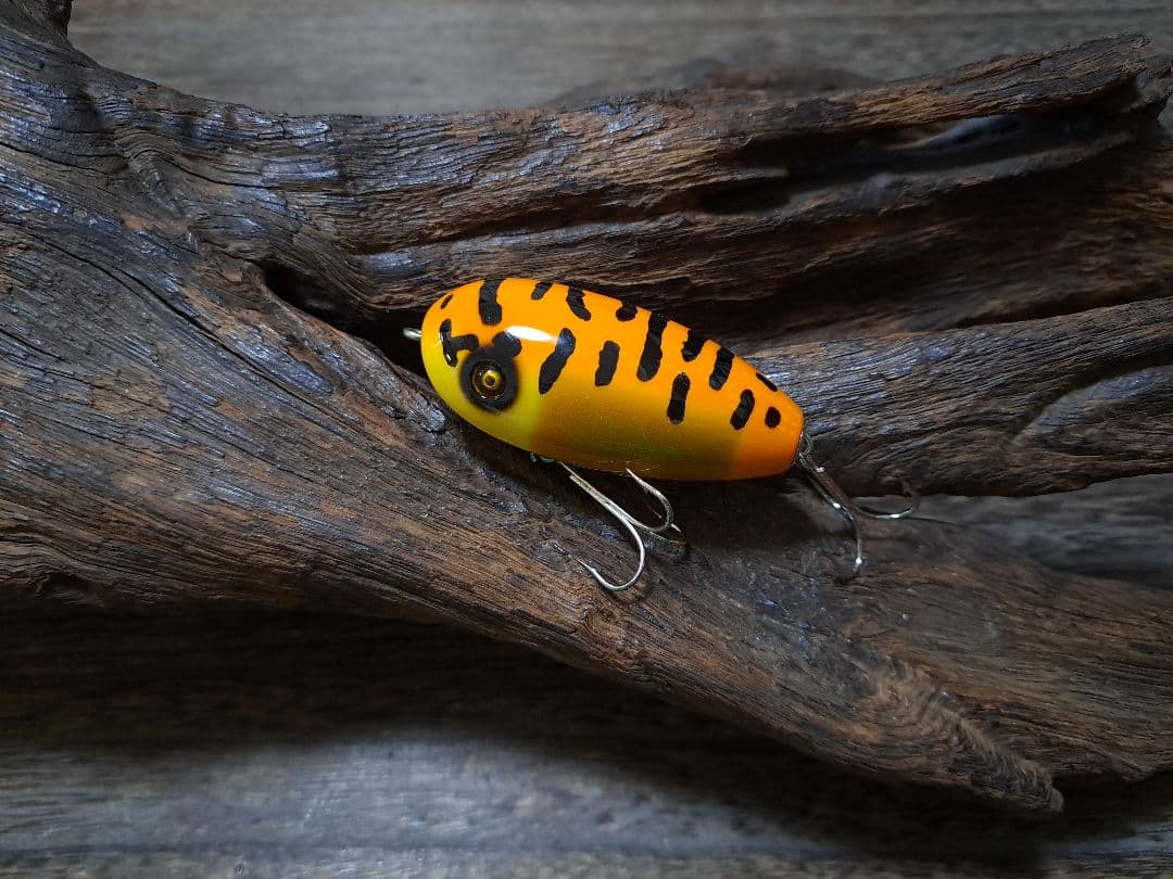 道楽　DOWLUCK　ドウラク　ラブホタル　イエローコーチドッグ　タイガー系