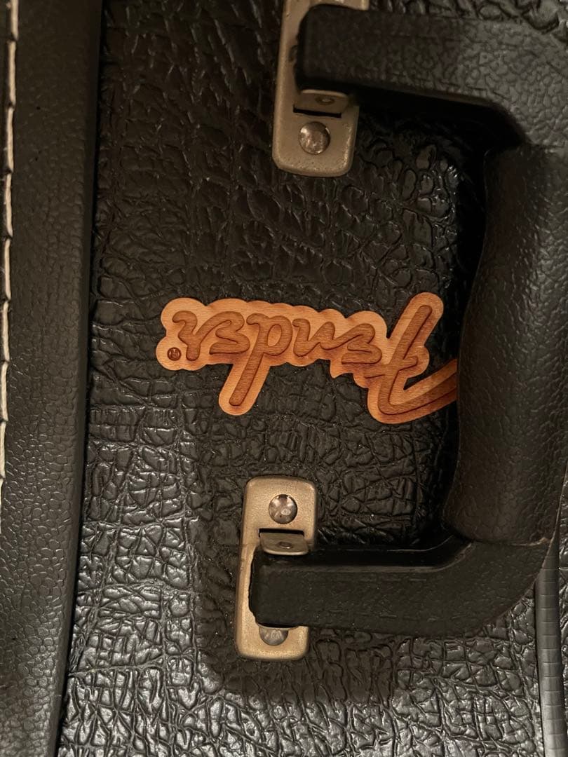 Fender エレアコ Ice Blue未使用品 ハードケース ソフトケース付き