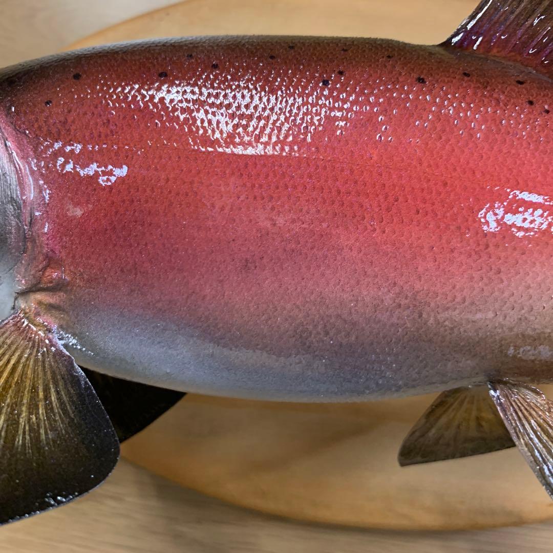 剥製　魚類剥製工房エフクラフト　晩秋の雄ヒメマス 33センチ 最終形態