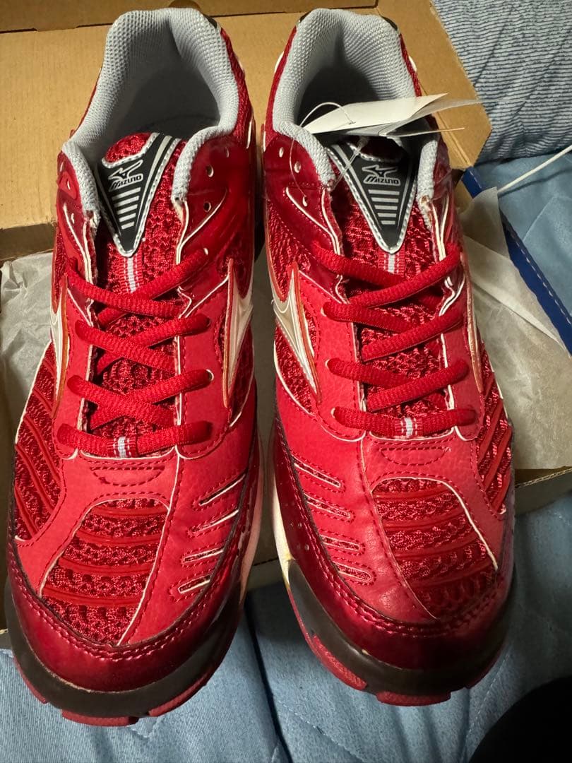 Mizuno バレーボールシューズ ウェーブライトニング6
