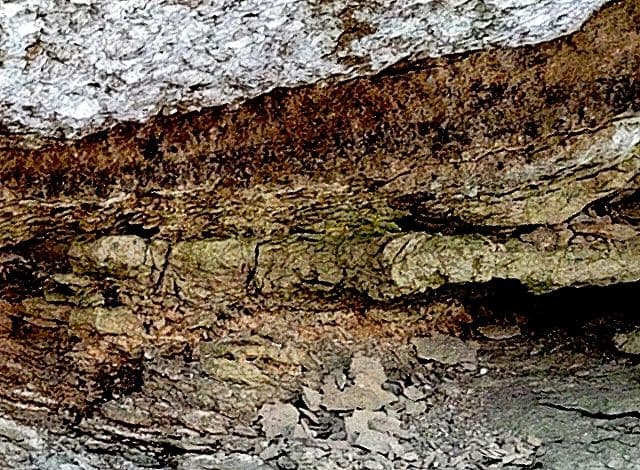 ★K-Pg境界層★山中地溝帯【イリジウム層+古第三紀層】