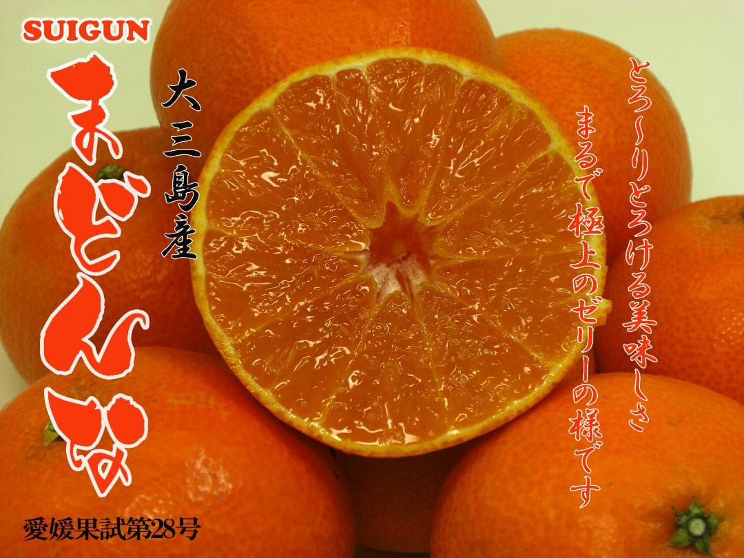 【由美子】SUIGUNマドンナM玉6Kg×2+6Kg++6Kg　３か所送り