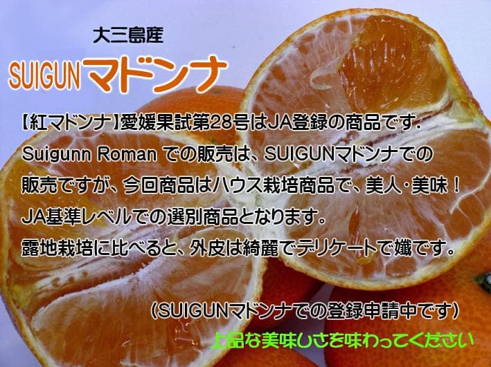 【由美子】SUIGUNマドンナM玉6Kg×2+6Kg++6Kg　３か所送り