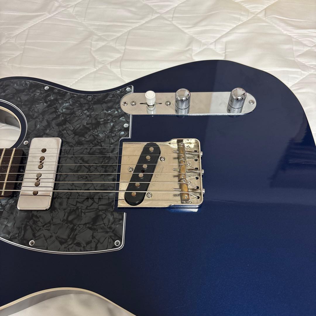 Psychederhythm サイケデリズム Standard-Ｔ ギター