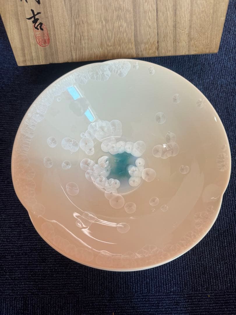 2025 平安橘吉　月華　鉢　未使用