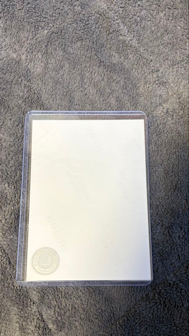 向井純葉 2024サンタ衣装 座り直筆サイン