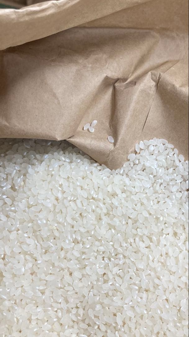 秋田県産　令和7年産あきたこまち　精米済27キロ