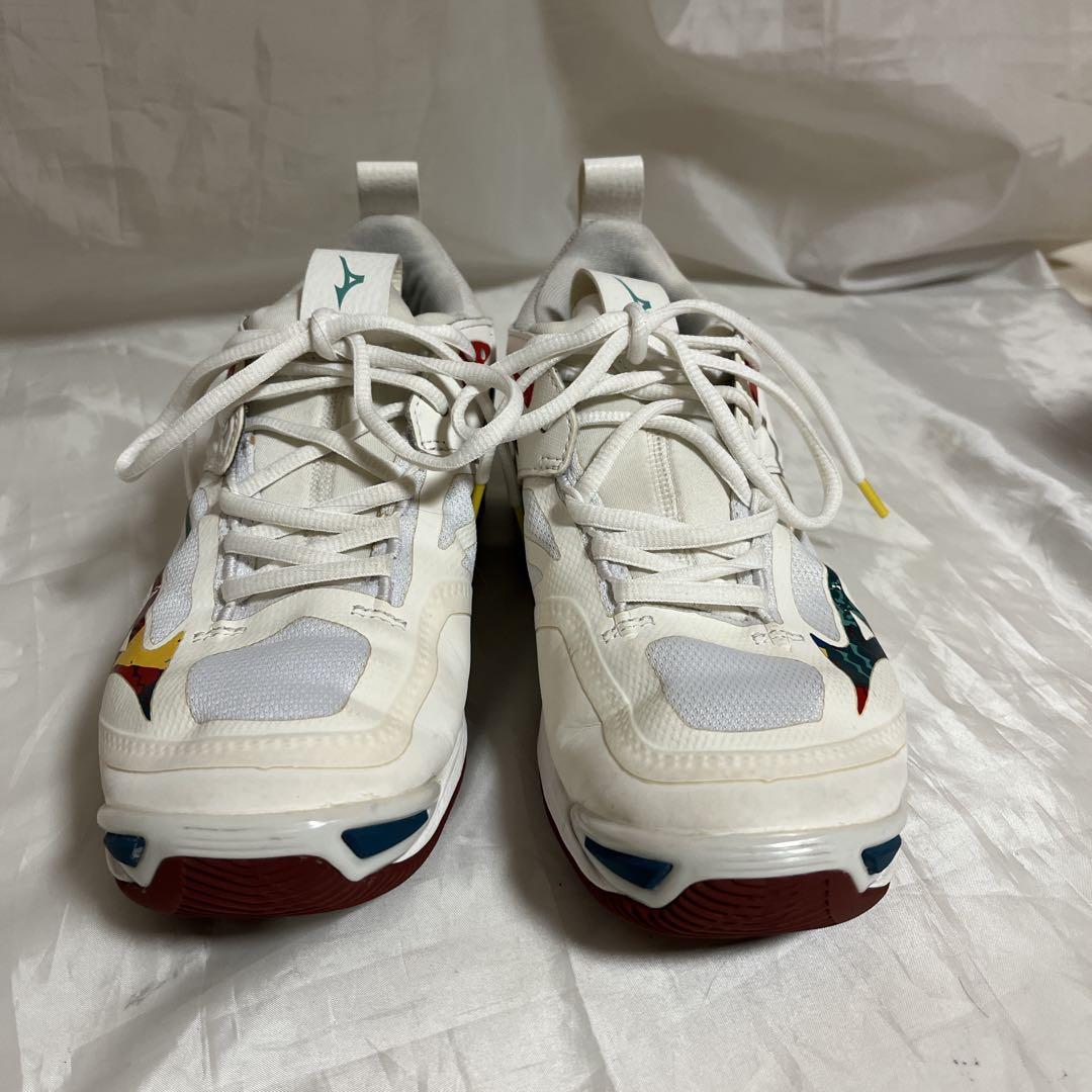 ⭐️Mizuno⭐️ミズノウエーブモーメンタム2(バレーボール)ホワイト