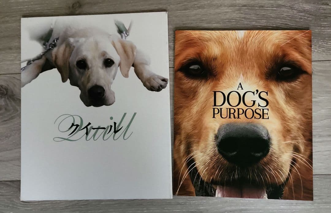 映画パンフレット(39冊セット)