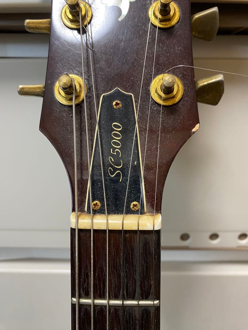 ギター YAMAHA SC-5000