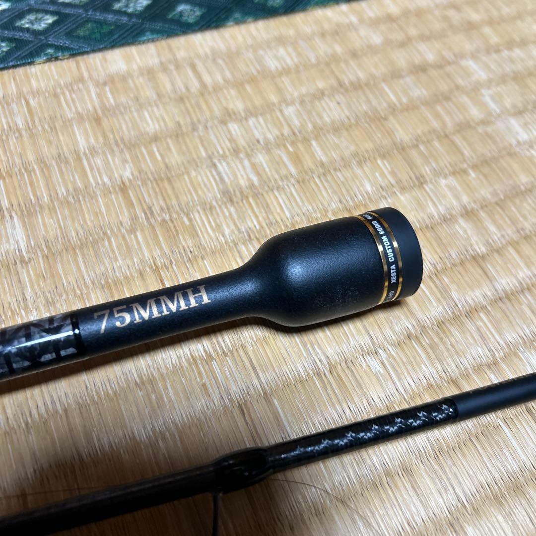 アサルト JET 75MMHエギングロッド