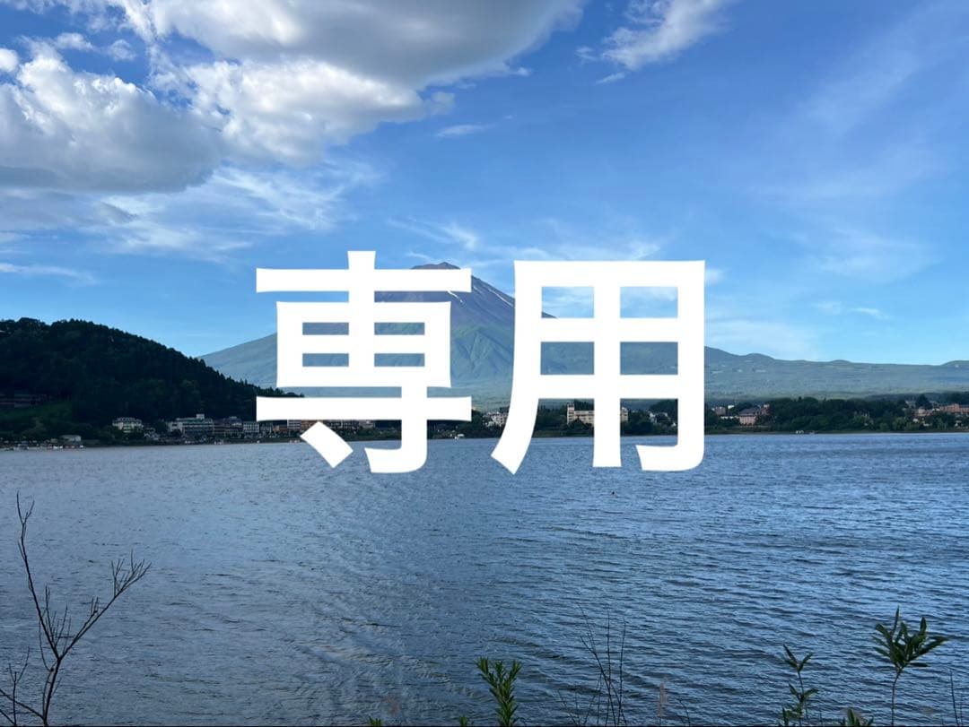 ❤️美品❤️エバーグリーン カレイドTKIC-63MLスティングレイスーパーシェイク