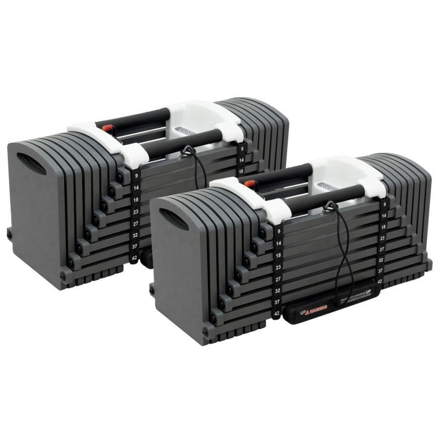 パワーブロック ダンベル 可変式ダンベル 42kg 2個セット 2393