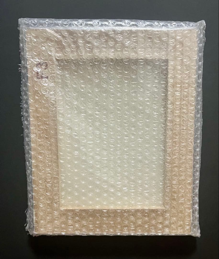 紀伊カンナ 直筆サイン入りキャンバスアート