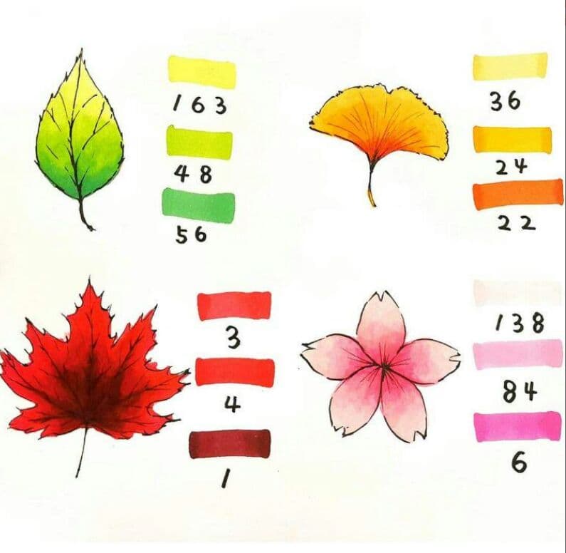 マーカーペン 204色セット 漫画 デザイン イラスト コピック練習用