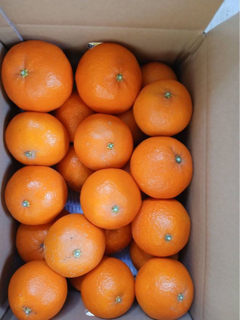 02-10k あいか28号（まどんな）みかん家庭用10キロ 北海道料金