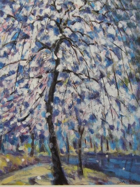 神道友貴子、【しだれ桜】、希少な額装用画集より、美品、新品額装付