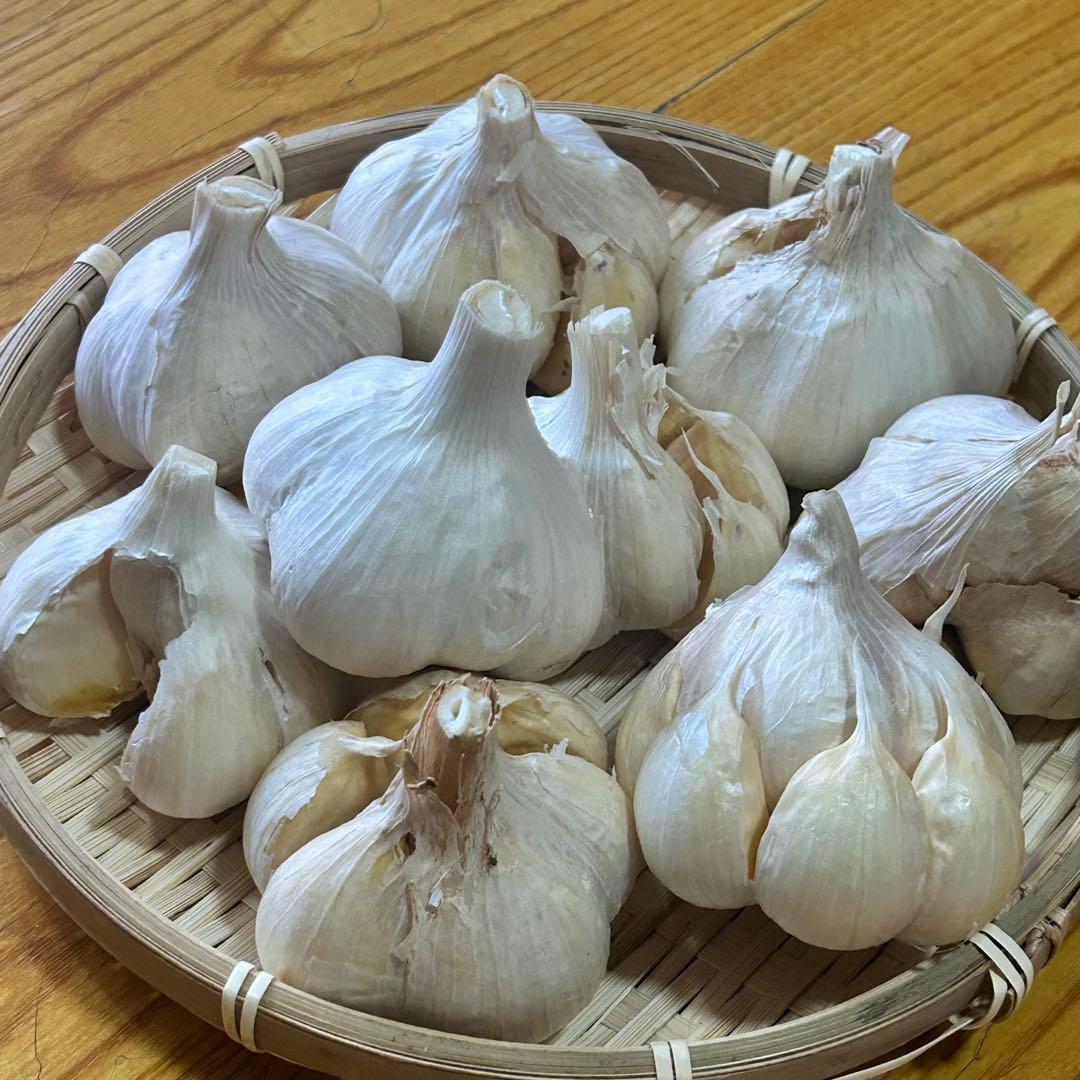 【お買い時】青森県産にんにく L 4kg福地ホワイト六片 激安 家庭用 加工用