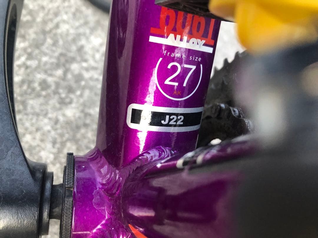 ルイガノジュニア22インチ　現行モデル