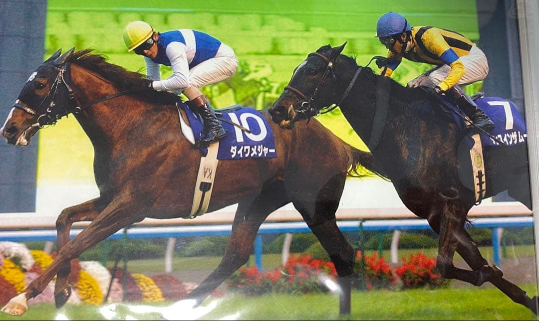 ダイワメジャー 非売品 パネル 新品未開封