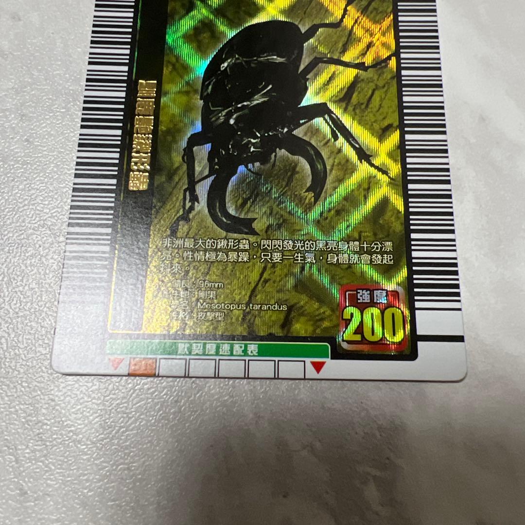 ムシキング　外国語　タランドゥスオオツヤクワガタ