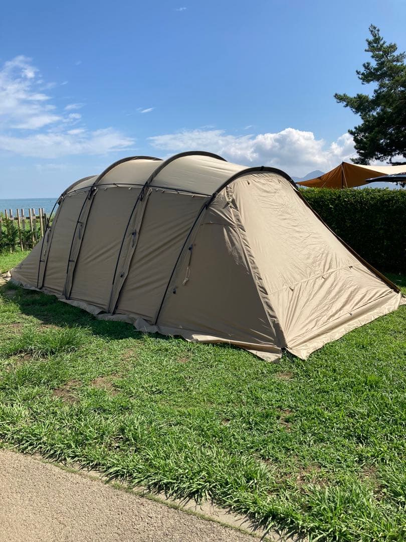 サバティカル　アルニカ　A&F